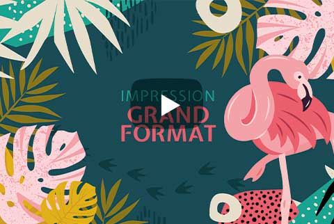 Graphiste grenoble video presentation motion design priint